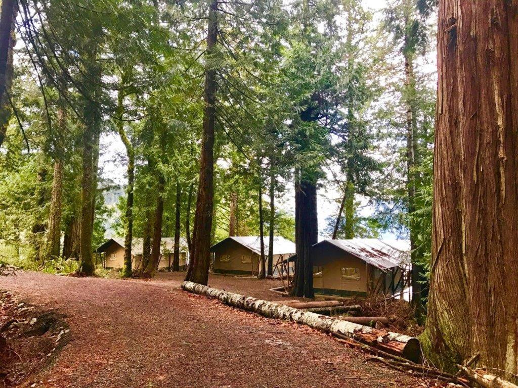 Brown'S Bay Resort Campbell River Exterior photo